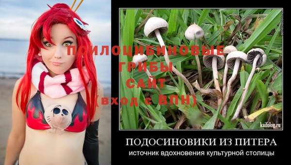 ешки Алзамай