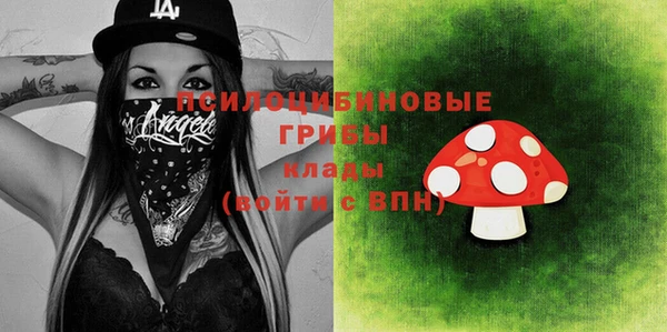 ГАЛЛЮЦИНОГЕННЫЕ ГРИБЫ Абдулино